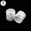 Customized Zirconia Ceramic Plunger Pump Anti-corrosion And Anti-wear