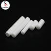 Custom High Temperature Resistant Zirconia Ceramic Rod Plunger